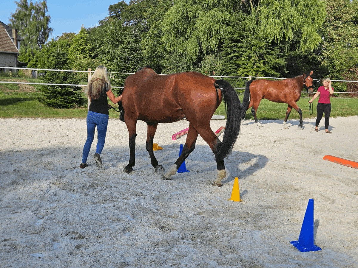 Simone und Valerie mit Fritz und Bommel