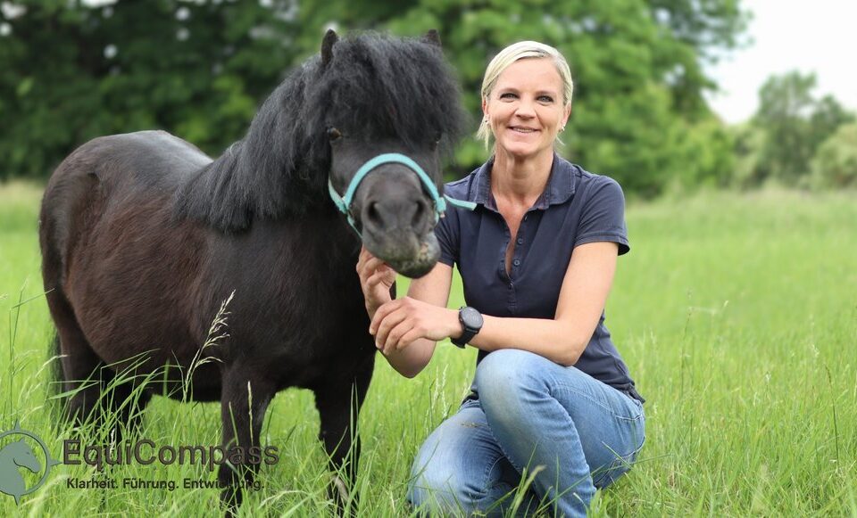 Pferdegestütztes Coaching für Werksteams.