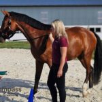 Führungskräfte beim pferdegestützten Coaching