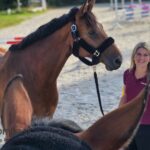 Führungskraft im pferdegestützten Coaching: Selbstregulation, nonverbale Führung und Resilienztraining