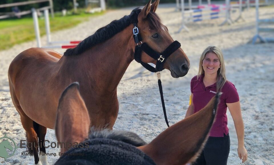 Führungskraft interagiert mit Pferd im Coaching