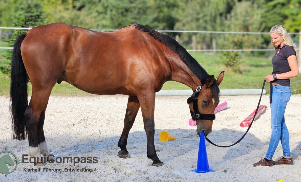 Führungskraft mit Pferd beim pferdegestützten Coaching – authentische Führung erleben