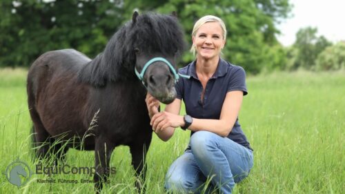 Pferdegestütztes Coaching für Führungskräfte: Führungskraft erlebt nonverbales Feedback durch ein Pferd